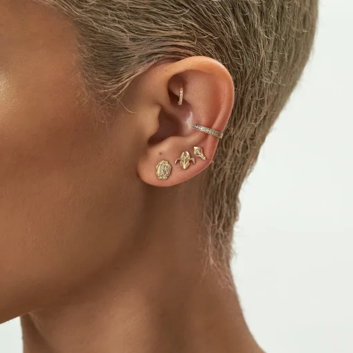 Iris-Istible Stud