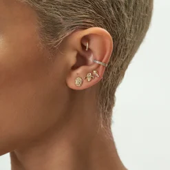 Iris-Istible Stud