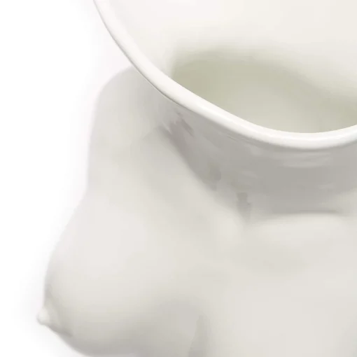 Jugs Jug (High-Shine White)