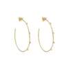 Razzle Dazzle Hoop Earrings