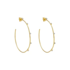 Razzle Dazzle Hoop Earrings